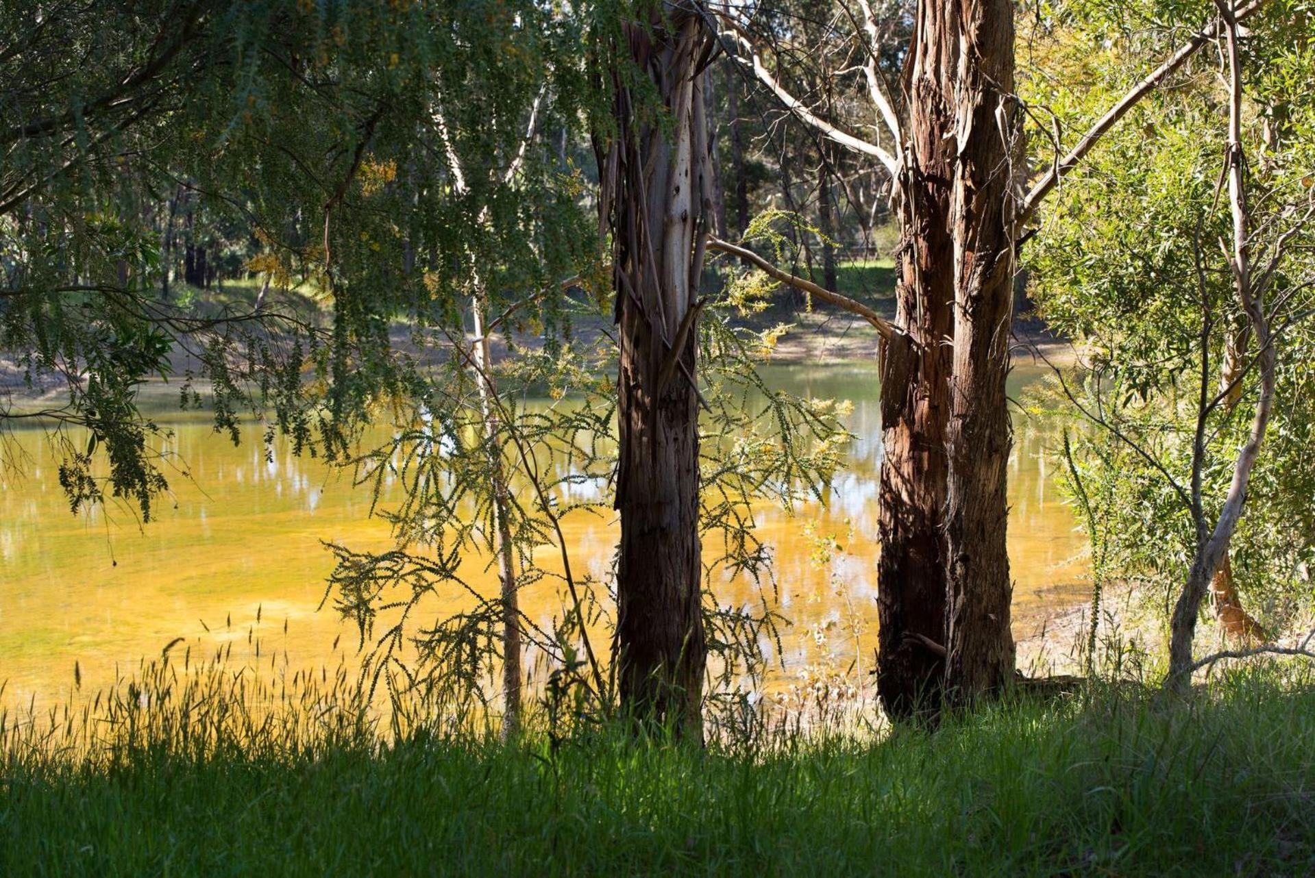 Bodhi Daylesford Villa Buitenkant foto