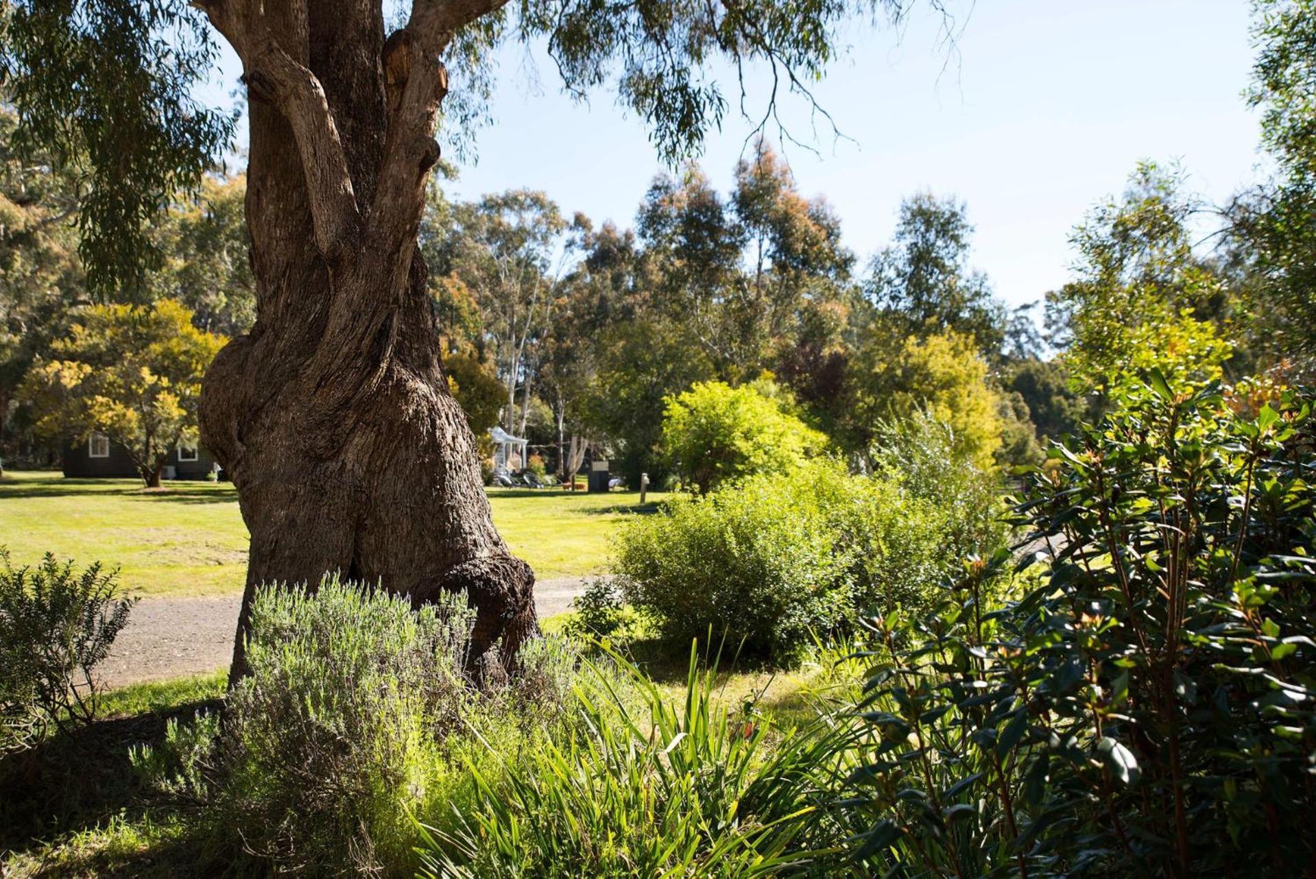Bodhi Daylesford Villa Buitenkant foto