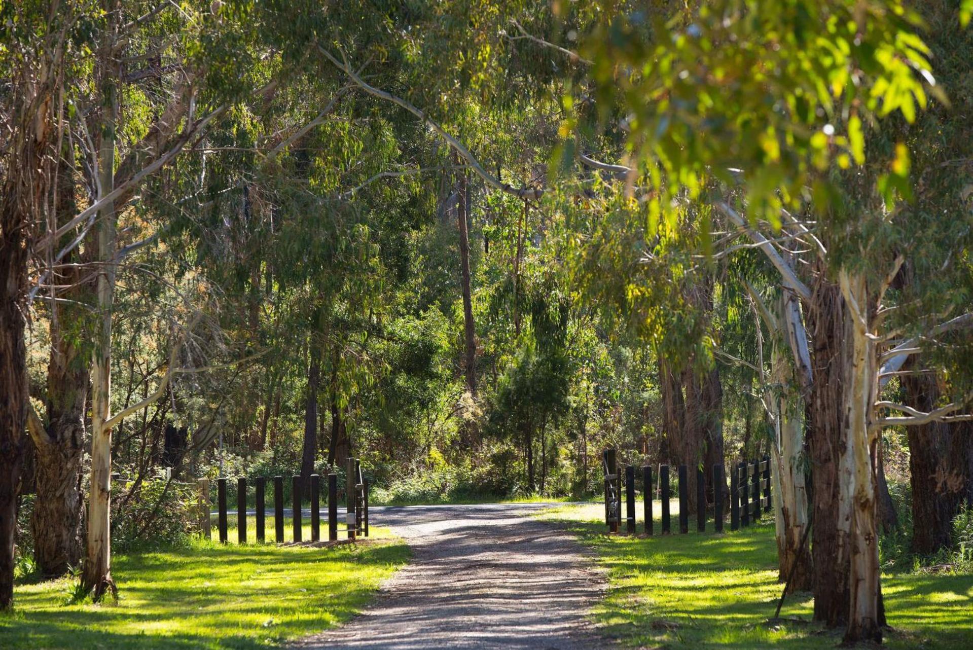 Bodhi Daylesford Villa Buitenkant foto